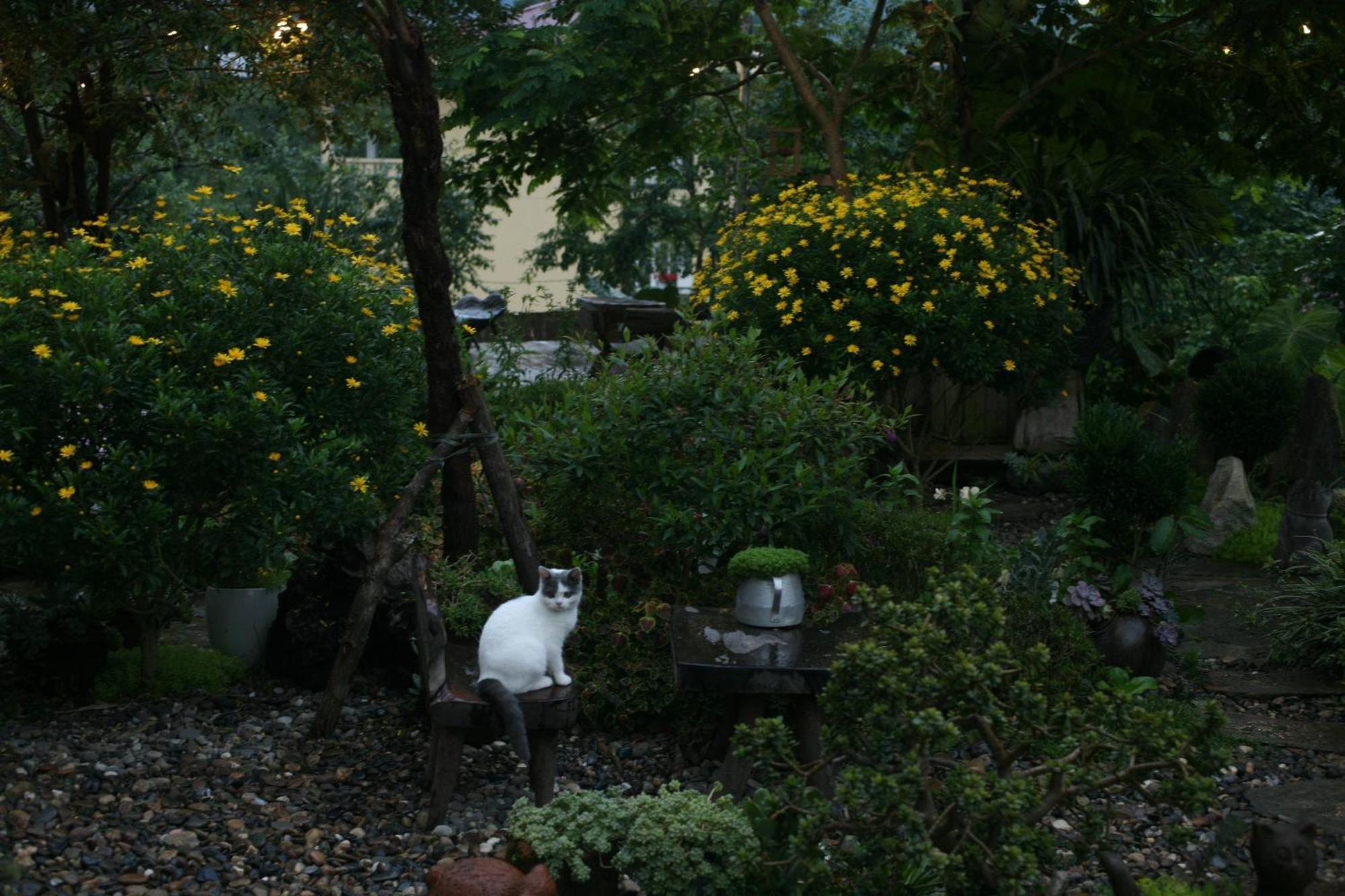 سابا La Maison House & Bungalow المظهر الخارجي الصورة